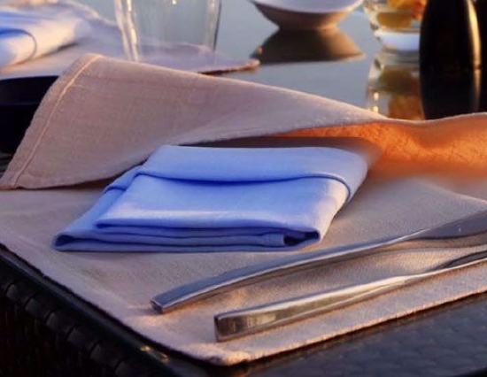 Solid Color Polyester Napkins - 20x20 Square