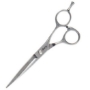 Diane Fromm Orchid Durable Steel Shear 5 1/2" (Price/Each)
