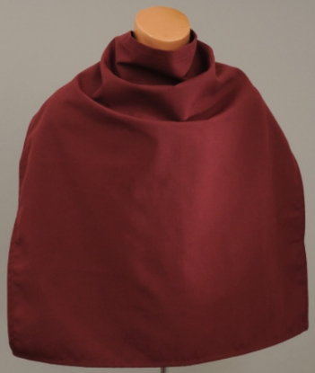 Dignity Clothing Protector-28 x 30
