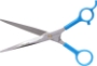 Premier 6 1/2 Curved Point -Tip Shears for Sale.