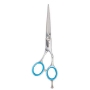  Best Thinning Shears