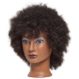 diane nora mannequin textured hair