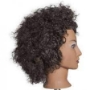 diane nora mannequin textured hair