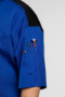 Short Sleeve Executive Chef Coats ,Royal Blue