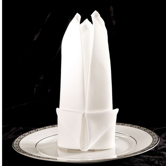 Parnell Satin Band Napkins