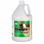 Odor eliminating carpet solution