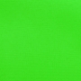 Neon Green-Basic Poly Buy the Case